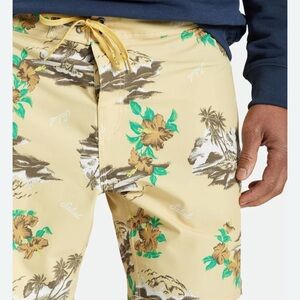 Brixton Supply Co mens temple trunk board shorts size 33